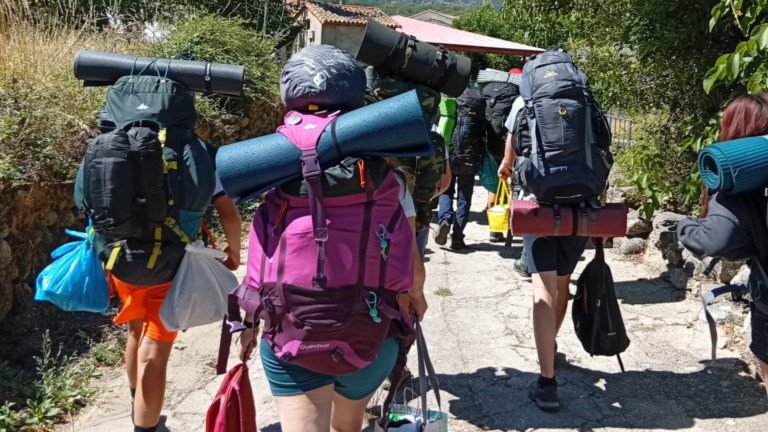 Scouts verano