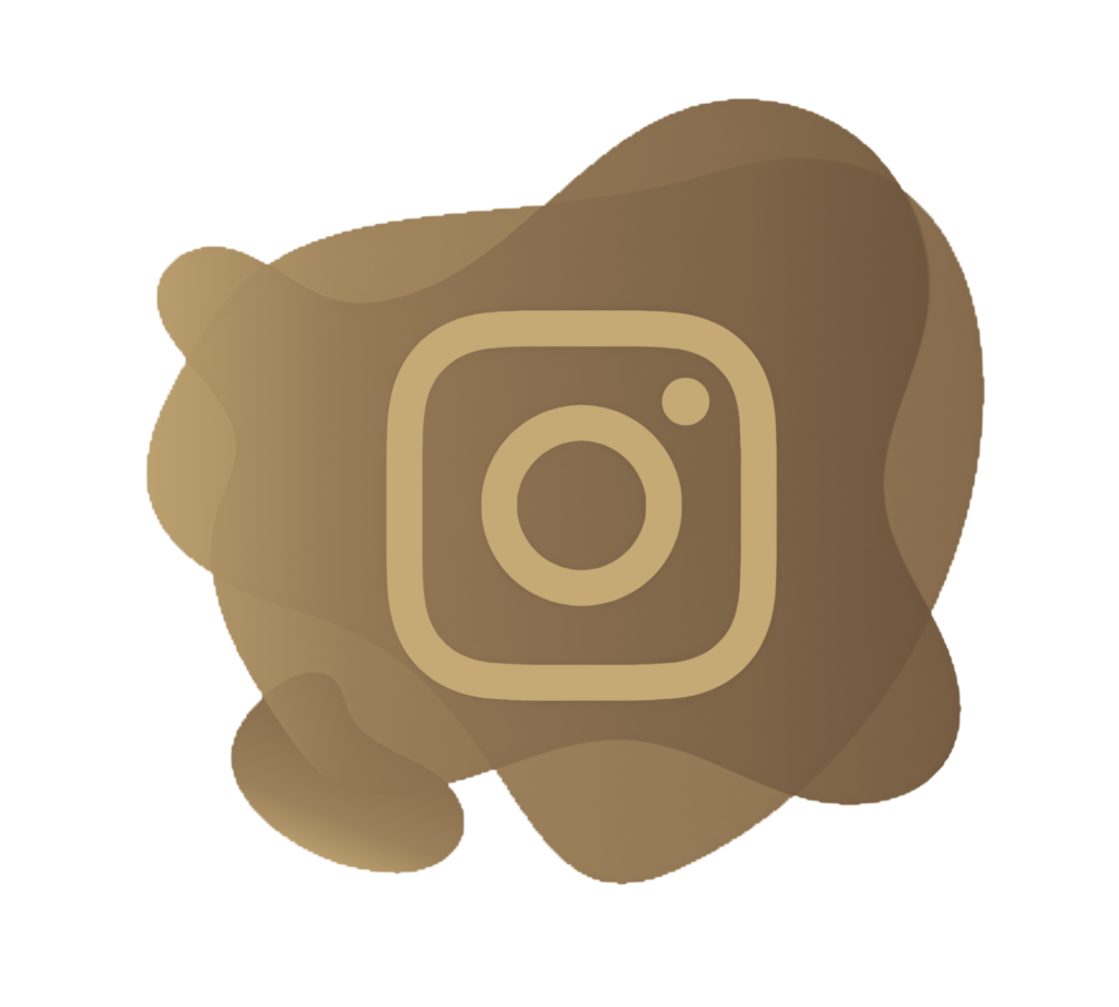 Icono Instagram